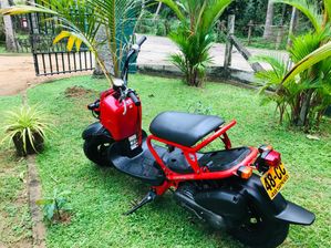 Honda Zoomer 2019