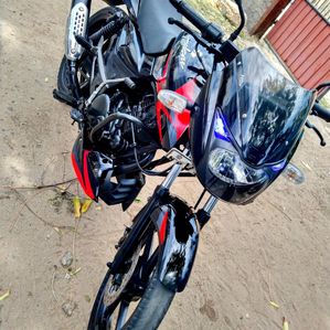 Bajaj Pulsar 150 2011 - Image 3