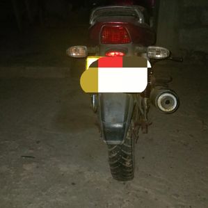 Bajaj Pulsar 150 2006 - Image 2