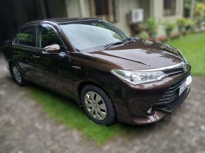 Toyota Axio 2015