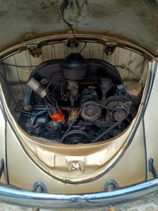 Volkswagen Beetle 1954