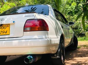 Toyota Corolla 1995