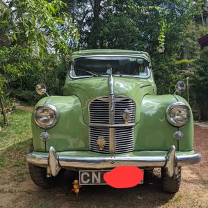Austin Cambridge 1951 - Image 2