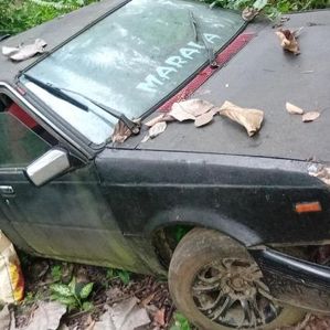 Nissan Sunny 1986 - Image 2