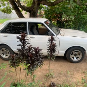 Nissan Sunny 1978 - Image 3