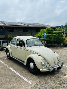Volkswagen Beetle 1965