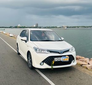 Toyota Axio G Grade 2015