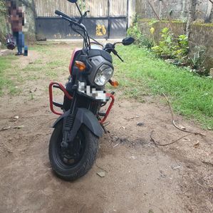Honda Navi 2017 - Image 3