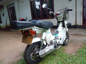 Honda Chaly 2003