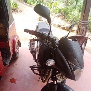 Bajaj Pulsar 150 2012 - Image 3