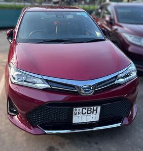 Toyota Axio WXB 2019