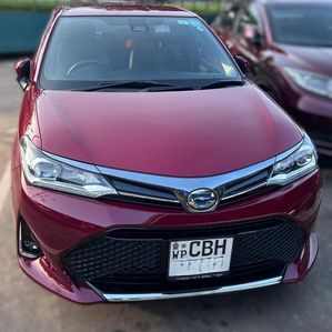 Toyota Axio WXB 2019 - Image 2