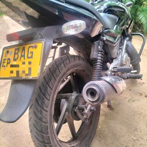 Bajaj Pulsar 150 2013 - Image 2