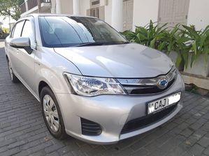 Toyota Axio 2013