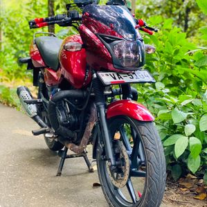 Bajaj Pulsar 150 2008 - Image 2