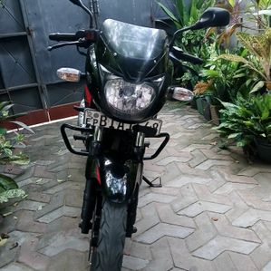 Bajaj Pulsar 150 2019 - Image 3