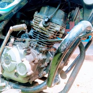 Bajaj Discover 2011 - Image 3