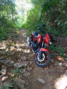 Bajaj Pulsar RS200 2008