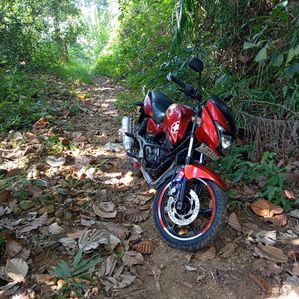 Bajaj Pulsar RS200 2008 - Image 2