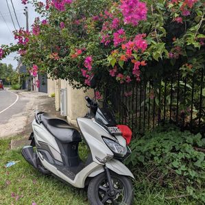 Suzuki Burgman Street 125 2019 - Image 3