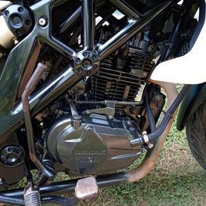 Demak DZM 2017 - Image 3