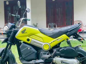 Honda Navi 2019