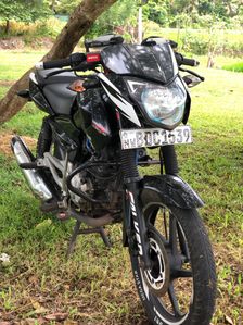 Bajaj Pulsar 135 2016