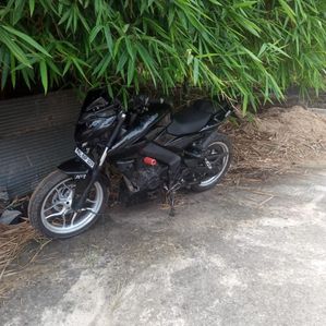 Bajaj Pulsar NS200 2014 - Image 3