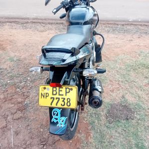 Bajaj Pulsar 150 2016 - Image 2