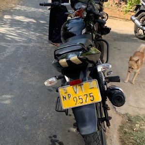 Bajaj Pulsar 150 2014 - Image 3