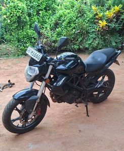 Demak Warrior 2019