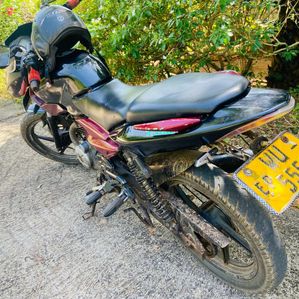 Bajaj Pulsar 135 2010 - Image 2