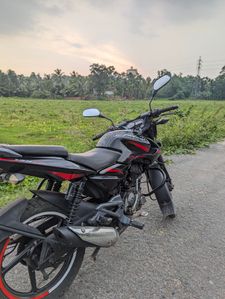 Bajaj Pulsar 135 2011