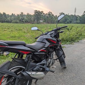 Bajaj Pulsar 135 2011 - Image 2