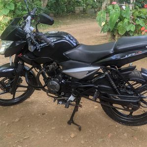 Bajaj Pulsar 135 2011 - Image 3
