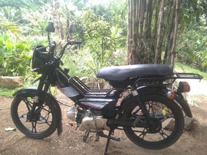 Singer Lima Safari 2020