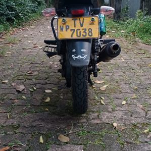 Bajaj Pulsar 180 2008 - Image 3