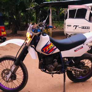Yamaha TTR 2003 - Image 2