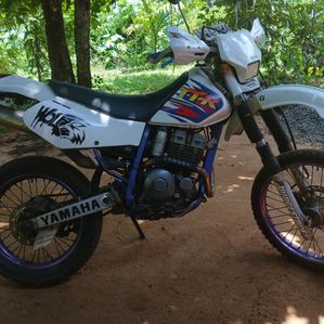 Yamaha TTR 2003 - Image 3