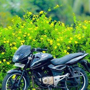 Bajaj Pulsar 150 2014 - Image 2