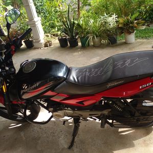 Bajaj Pulsar 150 2017 - Image 2