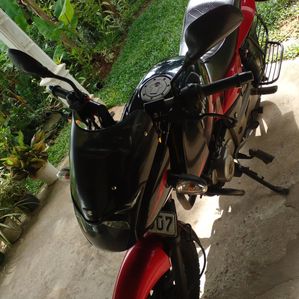 Bajaj Pulsar 150 2017 - Image 3