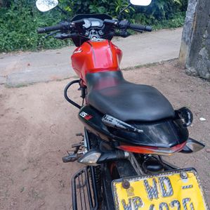 Bajaj Pulsar 135 2012 - Image 3