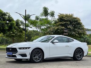 Ford Mustang ECO BOOST FAST BACK 2025