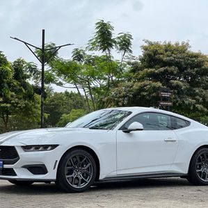 Ford Mustang ECO BOOST FAST BACK 2025 - Image 2