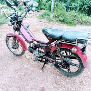 Loncin Safari 2008 - Image 3