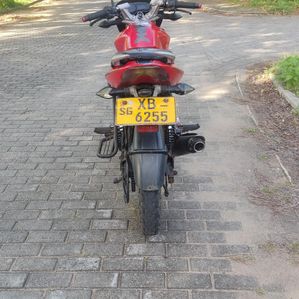 Bajaj Pulsar 135 2012 - Image 3