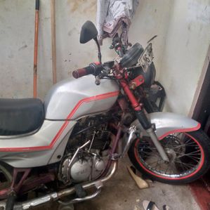 TVS Fiero 125 2024 - Image 3