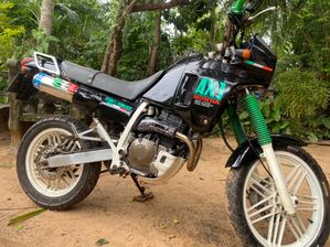 Honda AX1 2010