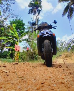 Suzuki 48CC 2013